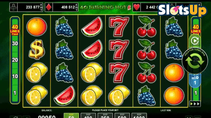 40 Bulky Fruits 6 Reels