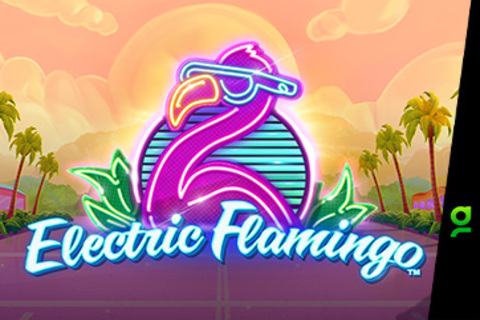 Electric Flamingo Free Slot