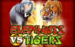 Elephants Vs Tigers Thumbnail 