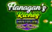 Flanagans Riches Multiplier Retro Roller Thumbnail 