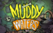 Muddy Waters Thumbnail 