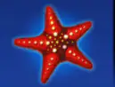 Ocean Magic4 