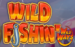 Wild Fishin Wild Ways Thumbnail 