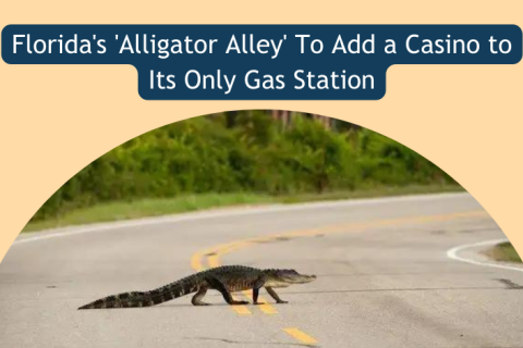 Alligator Alley News 