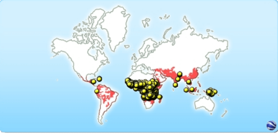 Battle Against Malaria