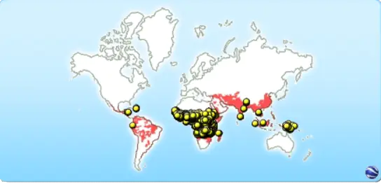 Battle Against Malaria