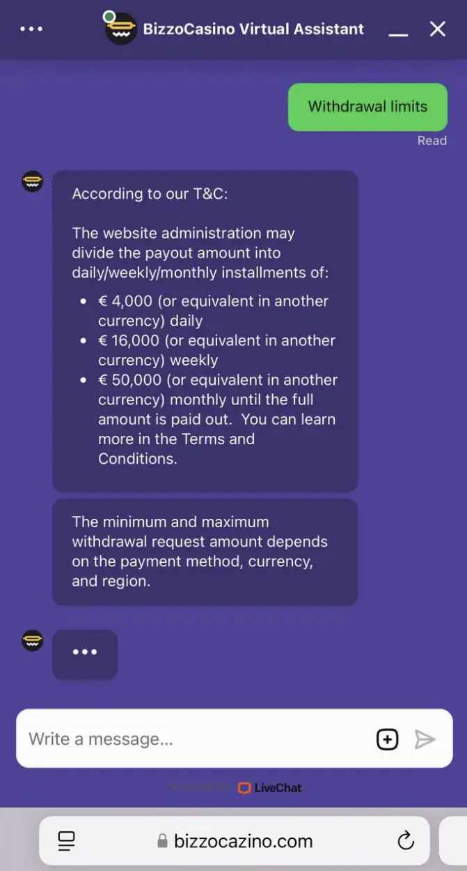 Bizzo Customer Support