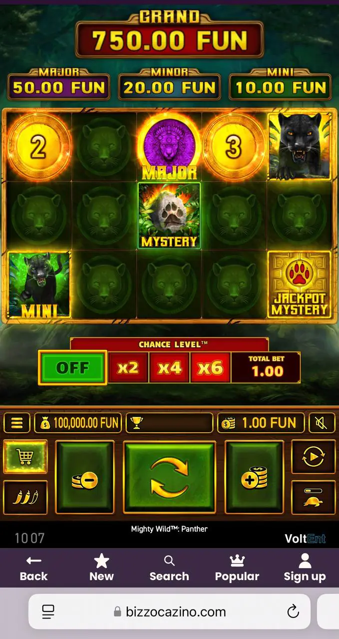 Bizzo Casino Slot Example