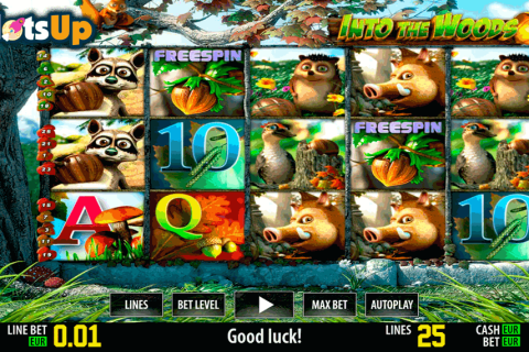 Into The Woods Hd World Match Casino Slots 