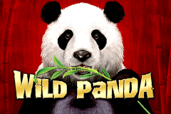 Wild Panda Aristocrat Slot Game 