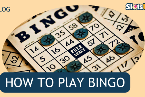 How To Play Bingo 