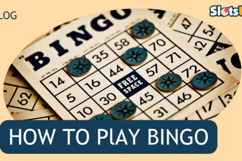 How To Play Bingo 