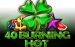 40 Burning Hot Amusnet Interactive 