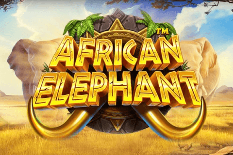 African Elephant Free Slot