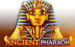 Ancient Pharaoh Ruby Play 