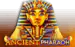 Ancient Pharaoh Ruby Play 