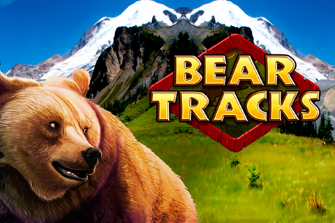 Bear Tracks Free Slot