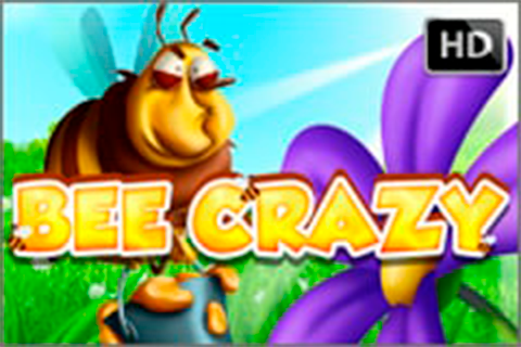 Bee Crazy HD Free Slot