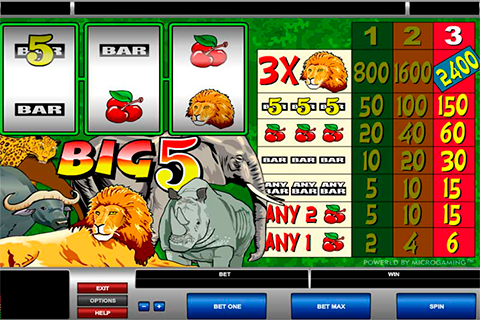 Big 5 + Free Slot