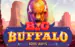 Big Buffalo Skywind Group 