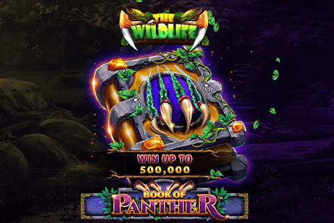 Book of Panther Free Slot