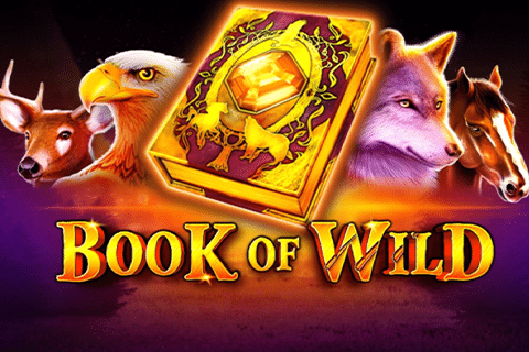 Book Of Wild 1spin4win 