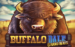 Buffalo Dale Gamebeat 