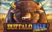 Buffalo Dale Gamebeat 