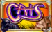 Cats Igt 1 