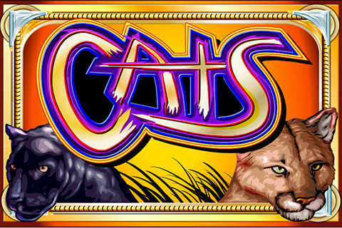 Cats Free Slot