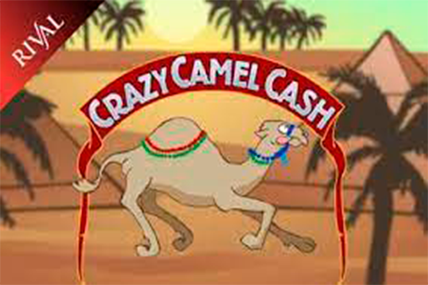 Crazy Camel Cash Free Slot