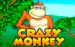Crazy Monkey Igrosoft 1 