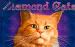 Diamond Cats Amatic 