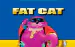Fat Cat Amaya 
