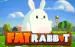 Fat Rabbit Push Gaming 