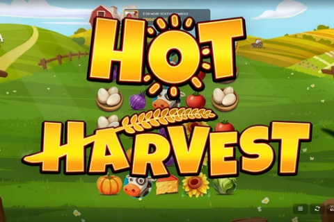 Hot Harvest Free Slot