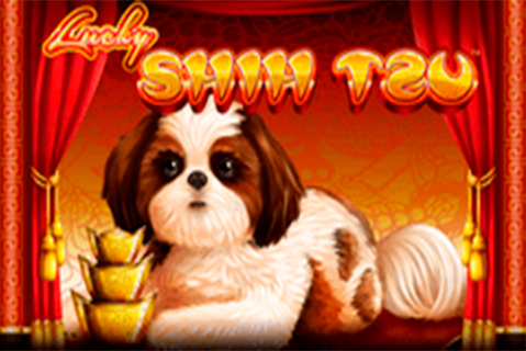 Lucky Shih Tzu Spin Games 