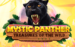 Mystic Panther Treasures Of The Wild Infinity Dragon Studios 