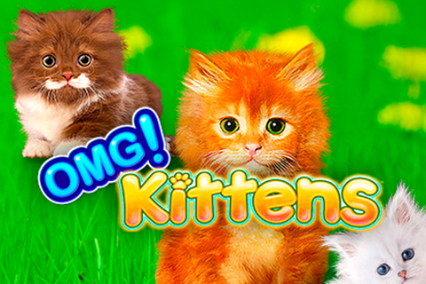 Omg Kittens Wms 1 