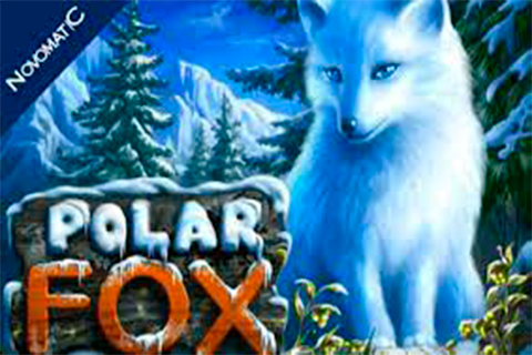 Polar Fox Free Slot