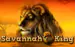 Savannah King Tom Horn 1 