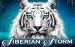 Siberian Storm Igt 