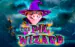 The Pig Wizard Blueprint 