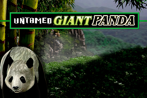 Untamed Giant Panda Free Slot