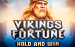 Vikings Fortune Hold And Win Playson 