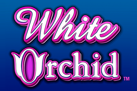 White Orchid Free Slot