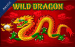 Wild Dragon Amatic 