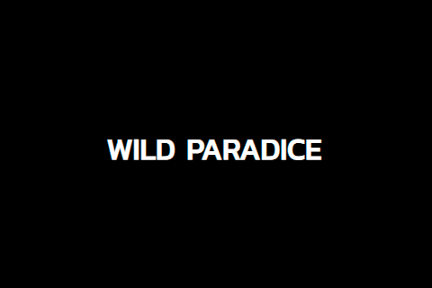 Wild Paradice Free Slot