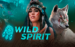 Wild Spirit Mascot Gaming 