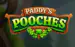 Paddy S Pooches Thumbnail 